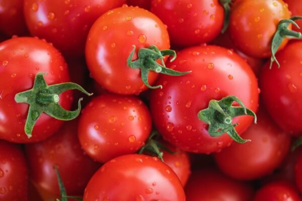 tomatoes, vegetables, fresh tomatoes, healthy, nourishment, to dye, color contest, tomatoes, tomatoes, tomatoes, tomatoes, tomatoes, vegetables, vegetables