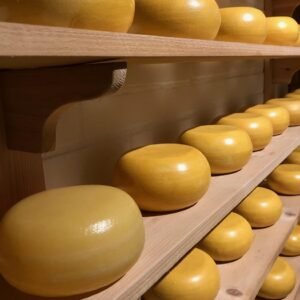 cheese, gouda cheese, food, meal, dairy product, nourishment, holland, netherlands, yellow, cheese loaf, yummy, dairy, cheeses, cheese, cheese, cheese, cheese, cheese, gouda cheese, gouda cheese, gouda cheese