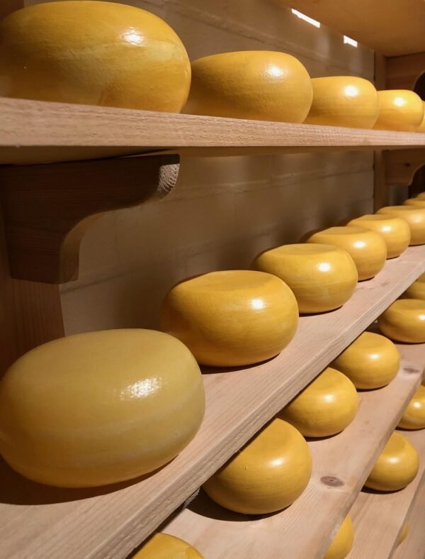 cheese, gouda cheese, food, meal, dairy product, nourishment, holland, netherlands, yellow, cheese loaf, yummy, dairy, cheeses, cheese, cheese, cheese, cheese, cheese, gouda cheese, gouda cheese, gouda cheese