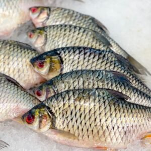fish, fresh fish, carp, seafood, nature, bazaar, fish market, market, tilapia